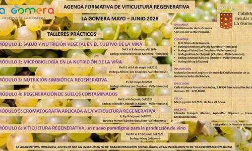 Imagen de El Cabildo impulsa una agenda formativa en viticultura regenerativa durante los meses de mayo y junio