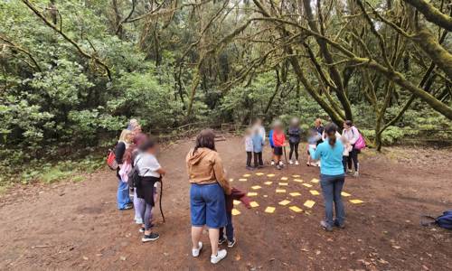 Imagen de Cabildo y Fundación Acuorum invitan a descubrir la laurisilva con la actividad ‘El Tesoro del Garajonay’